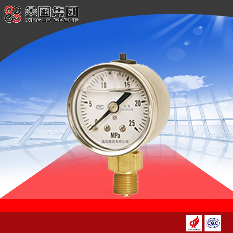 XG-YN系列、XG-YN-B系列耐震壓力表